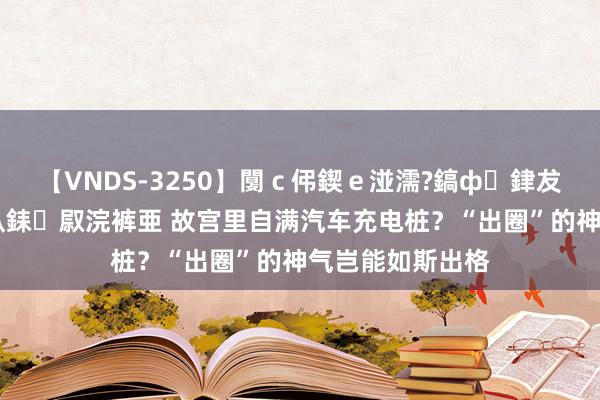 【VNDS-3250】闅ｃ伄鍥ｅ湴濡?鎬ф銉犮儵銉犮儵 娣倝銇叞浣裤亜 故宫里自满汽车充电桩？“出圈”的神气岂能如斯出格