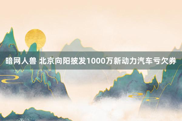 暗网人兽 北京向阳披发1000万新动力汽车亏欠券