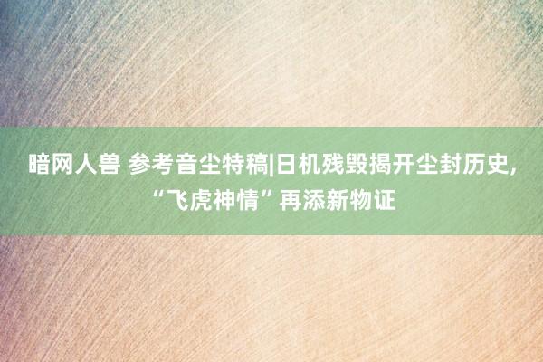 暗网人兽 参考音尘特稿|日机残毁揭开尘封历史,“飞虎神情”再添新物证