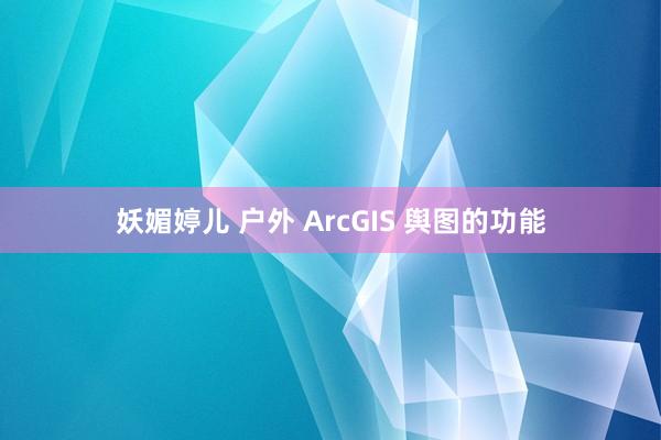 妖媚婷儿 户外 ArcGIS 舆图的功能