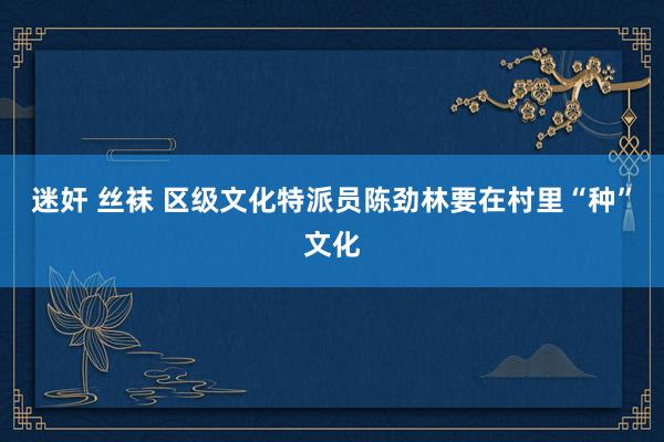 迷奸 丝袜 区级文化特派员陈劲林要在村里“种”文化