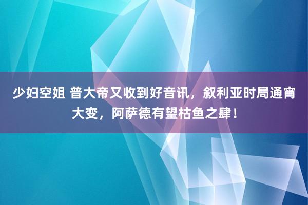 少妇空姐 普大帝又收到好音讯，叙利亚时局通宵大变，阿萨德有望枯鱼之肆！