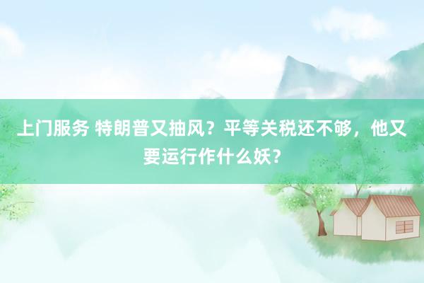 上门服务 特朗普又抽风？平等关税还不够，他又要运行作什么妖？