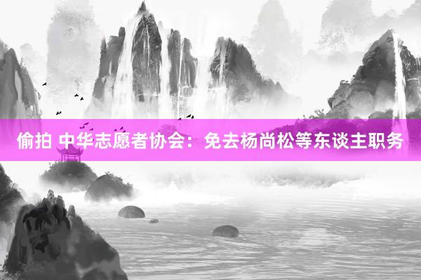 偷拍 中华志愿者协会：免去杨尚松等东谈主职务