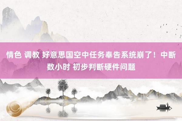 情色 调教 好意思国空中任务奉告系统崩了！中断数小时 初步判断硬件问题